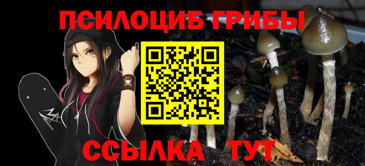 Псилоцибиновые грибы Magic Shrooms Семилуки